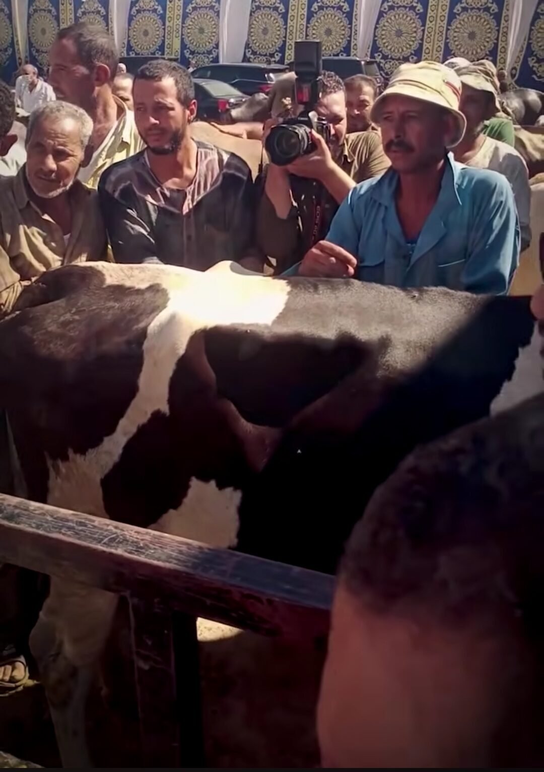 لقاء وزير الزراعة مع مزارعي المواشي